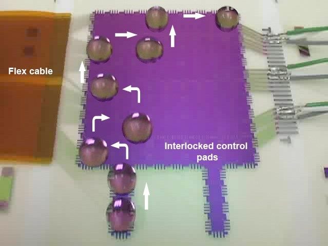 EWOD-Controlled Digital Microfluidics  